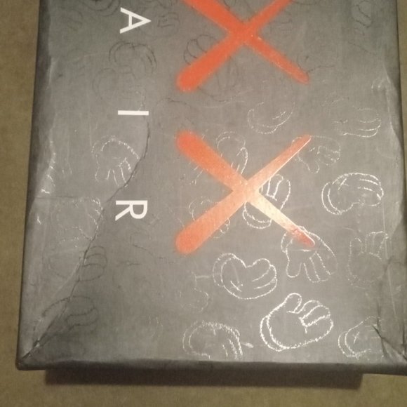 Jordan 4 retro kaws x cool grey main image 8